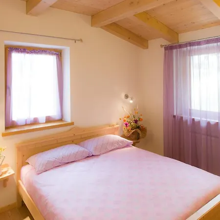 Edelweiss Appart hôtel